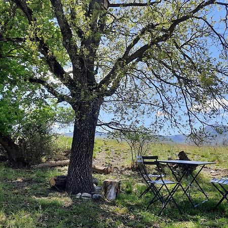 Gite Des Millets En Baronnies Rosans المظهر الخارجي الصورة