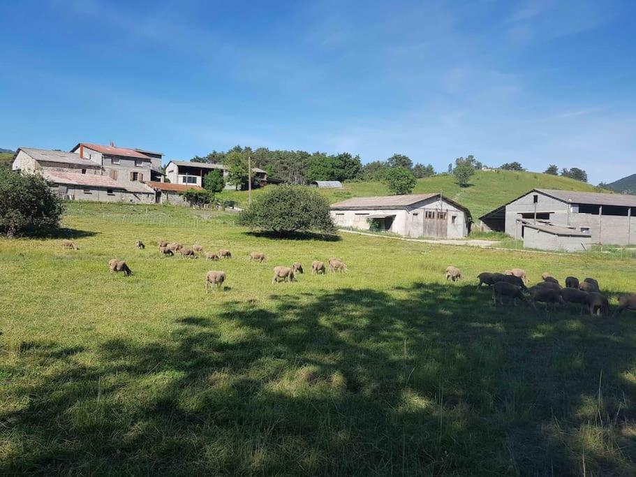 Gite Des Millets En Baronnies Rosans المظهر الخارجي الصورة
